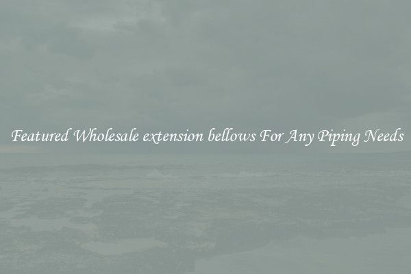 Featured Wholesale extension bellows For Any Piping Needs