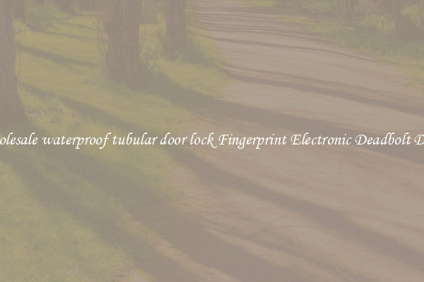 Wholesale waterproof tubular door lock Fingerprint Electronic Deadbolt Door 