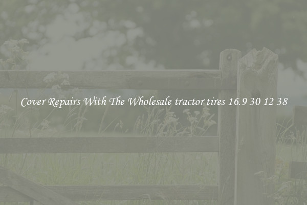  Cover Repairs With The Wholesale tractor tires 16.9 30 12 38 