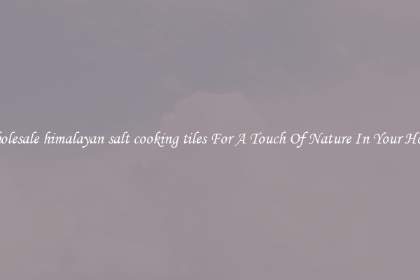 Wholesale himalayan salt cooking tiles For A Touch Of Nature In Your House