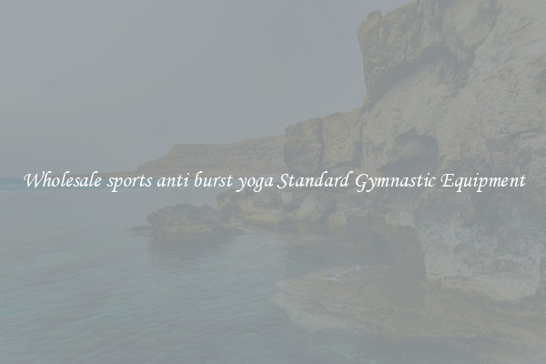 Wholesale sports anti burst yoga Standard Gymnastic Equipment