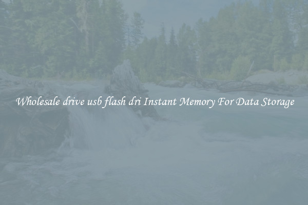 Wholesale drive usb flash dri Instant Memory For Data Storage