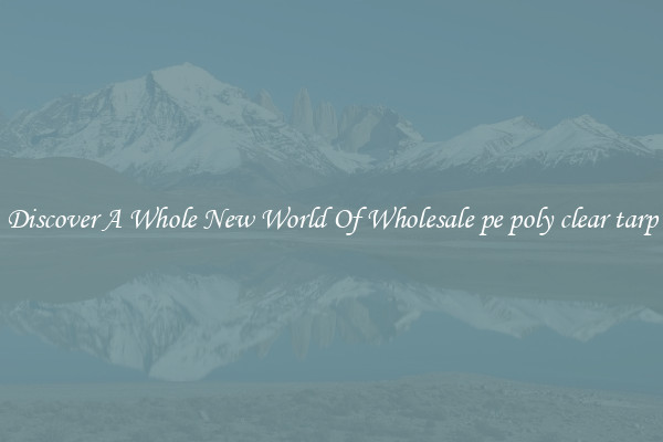 Discover A Whole New World Of Wholesale pe poly clear tarp