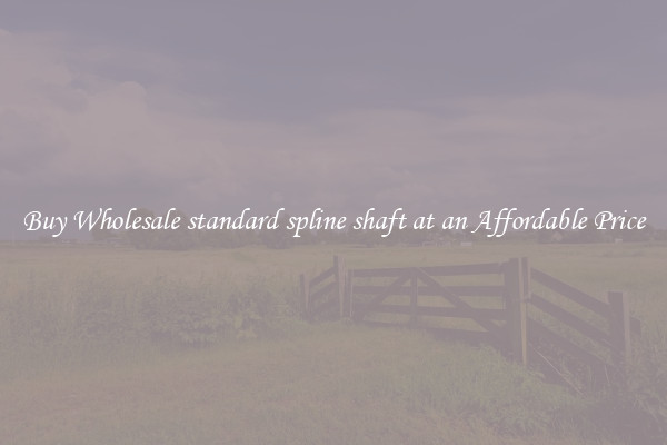 Buy Wholesale standard spline shaft at an Affordable Price