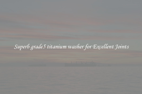 Superb grade5 titanium washer for Excellent Joints