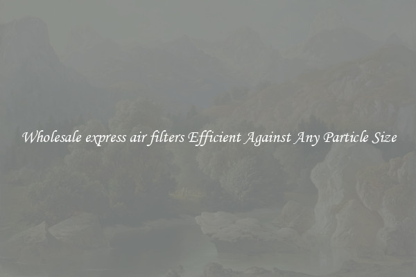 Wholesale express air filters Efficient Against Any Particle Size