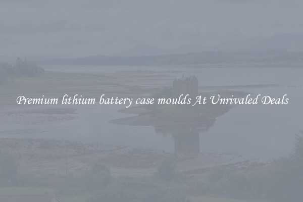 Premium lithium battery case moulds At Unrivaled Deals