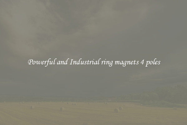 Powerful and Industrial ring magnets 4 poles