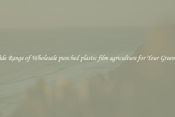 A Wide Range of Wholesale punched plastic film agriculture for Your Greenhouse