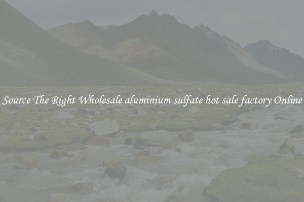 Source The Right Wholesale aluminium sulfate hot sale factory Online