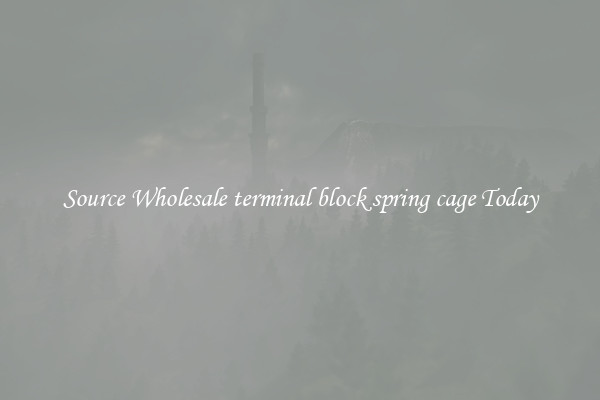 Source Wholesale terminal block spring cage Today
