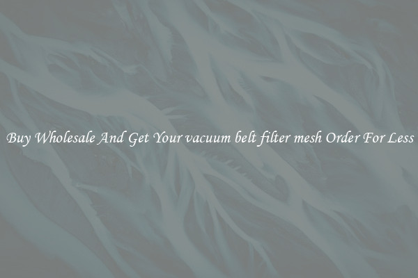 Buy Wholesale And Get Your vacuum belt filter mesh Order For Less