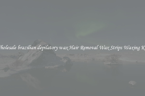 Wholesale brazilian depilatory wax Hair Removal Wax Strips Waxing Kits