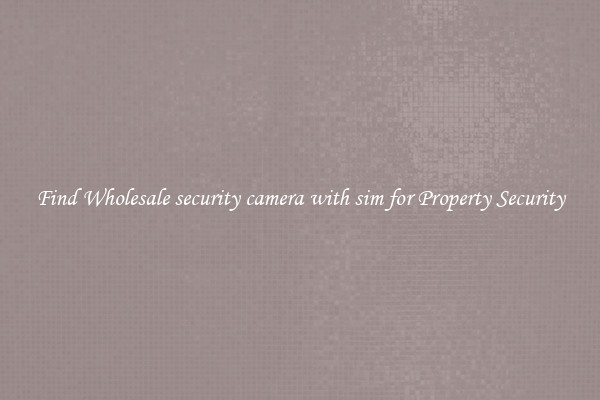 Find Wholesale security camera with sim for Property Security