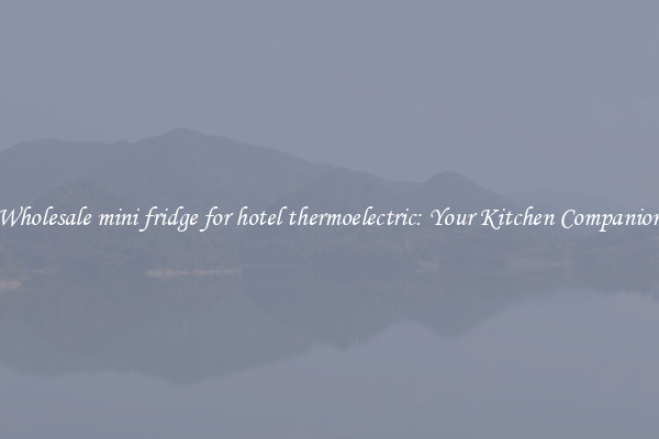 Wholesale mini fridge for hotel thermoelectric: Your Kitchen Companion