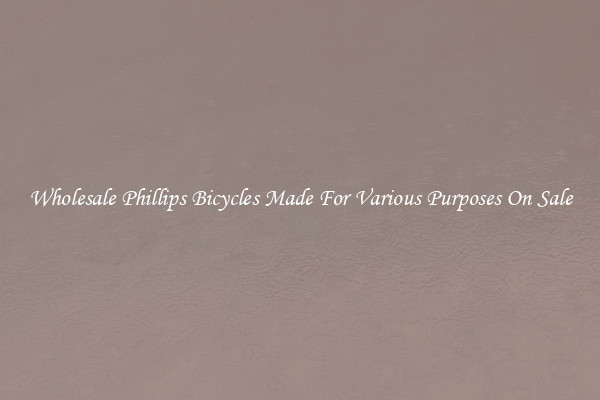 Wholesale Phillips Bicycles Made For Various Purposes On Sale
