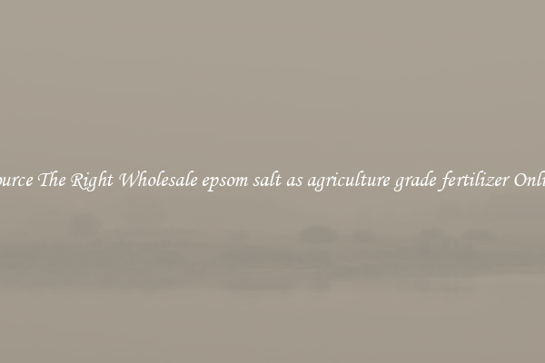 Source The Right Wholesale epsom salt as agriculture grade fertilizer Online