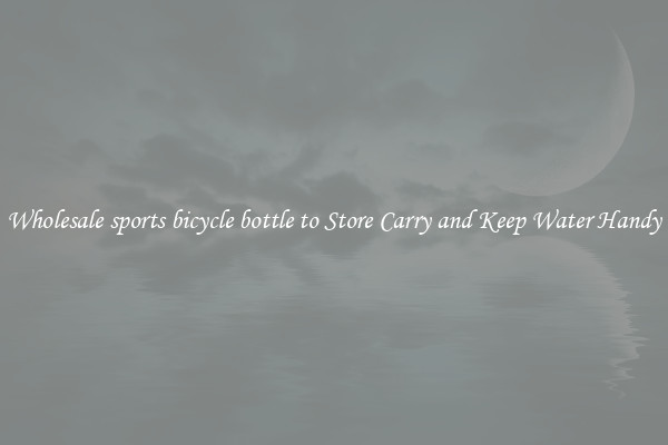 Wholesale sports bicycle bottle to Store Carry and Keep Water Handy