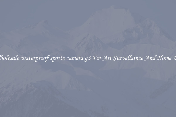 Wholesale waterproof sports camera g3 For Art Survellaince And Home Use