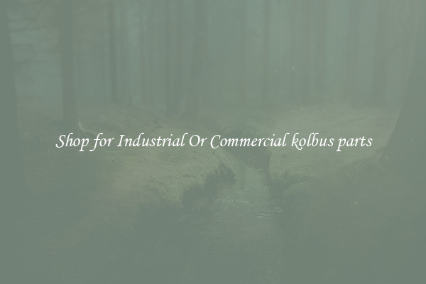 Shop for Industrial Or Commercial kolbus parts