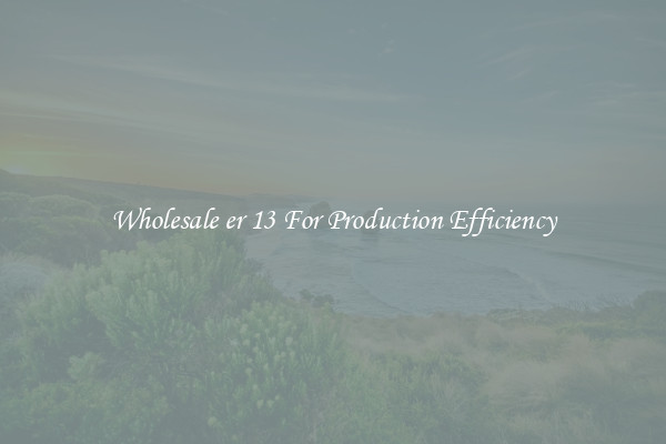 Wholesale er 13 For Production Efficiency