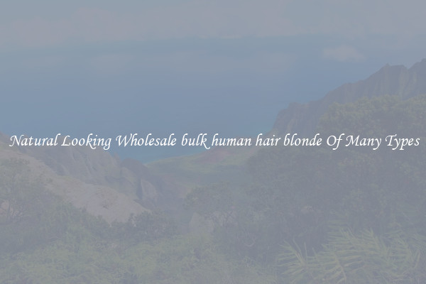 Natural Looking Wholesale bulk human hair blonde Of Many Types