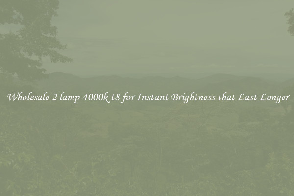 Wholesale 2 lamp 4000k t8 for Instant Brightness that Last Longer